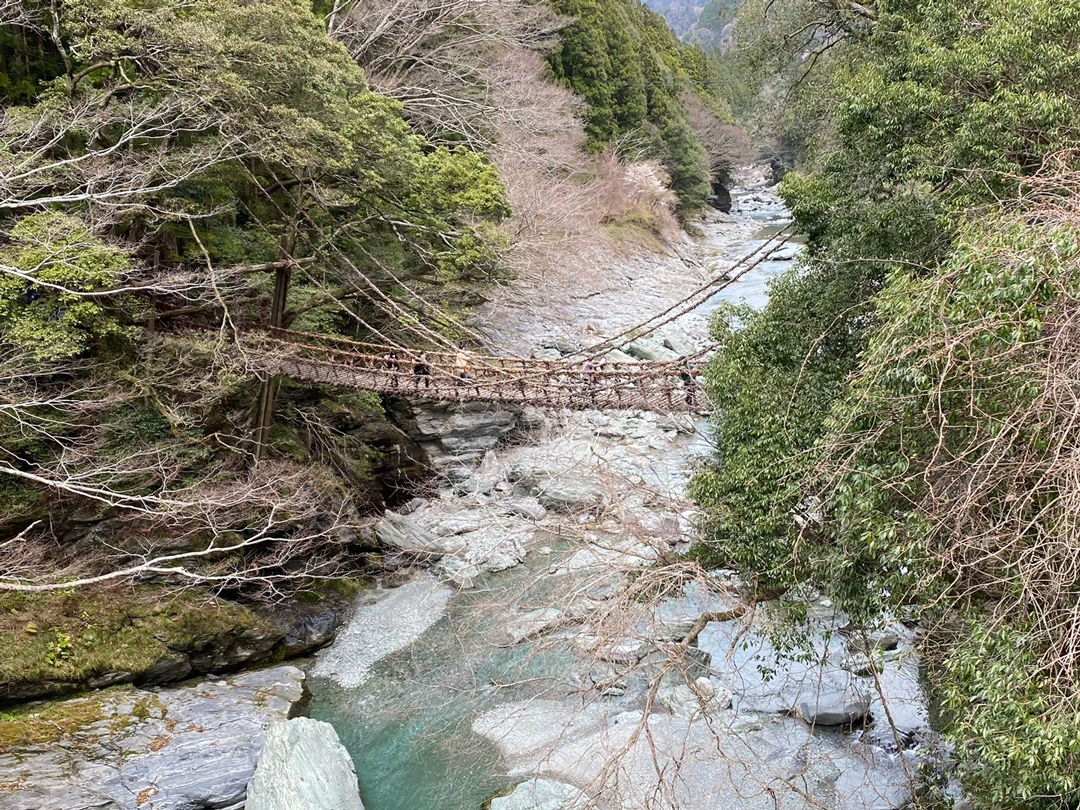 祖谷のかずら橋