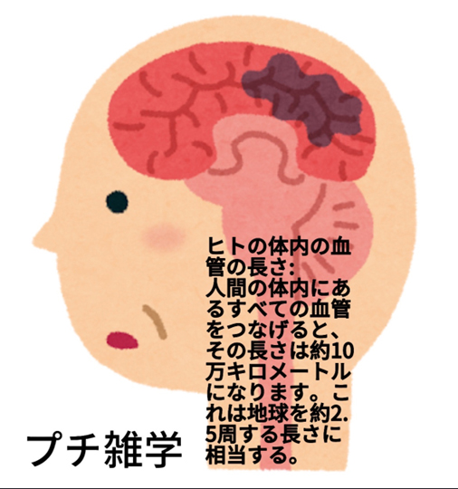 プチ雑学