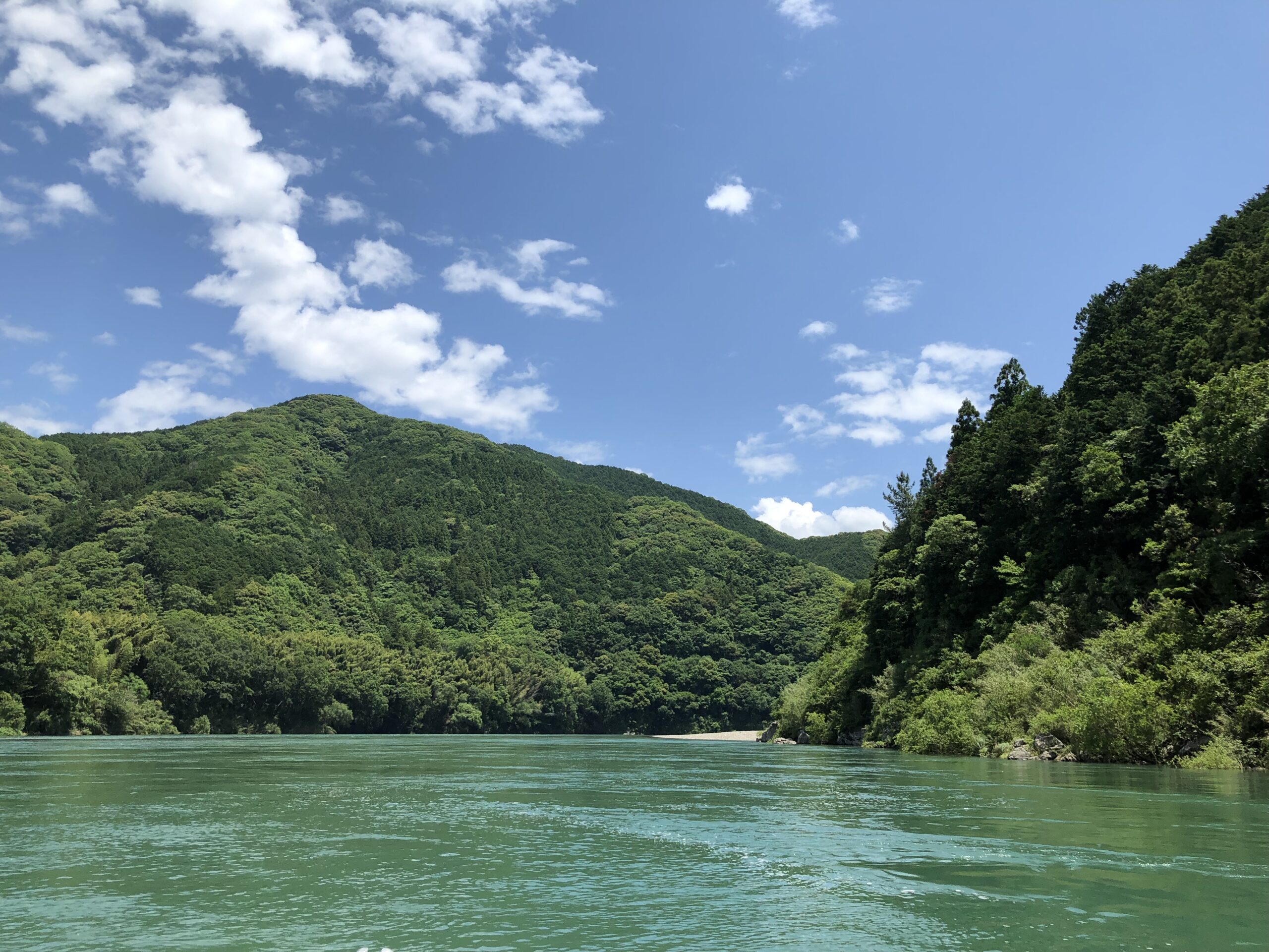 四万十川の清流と自然の美しさ
