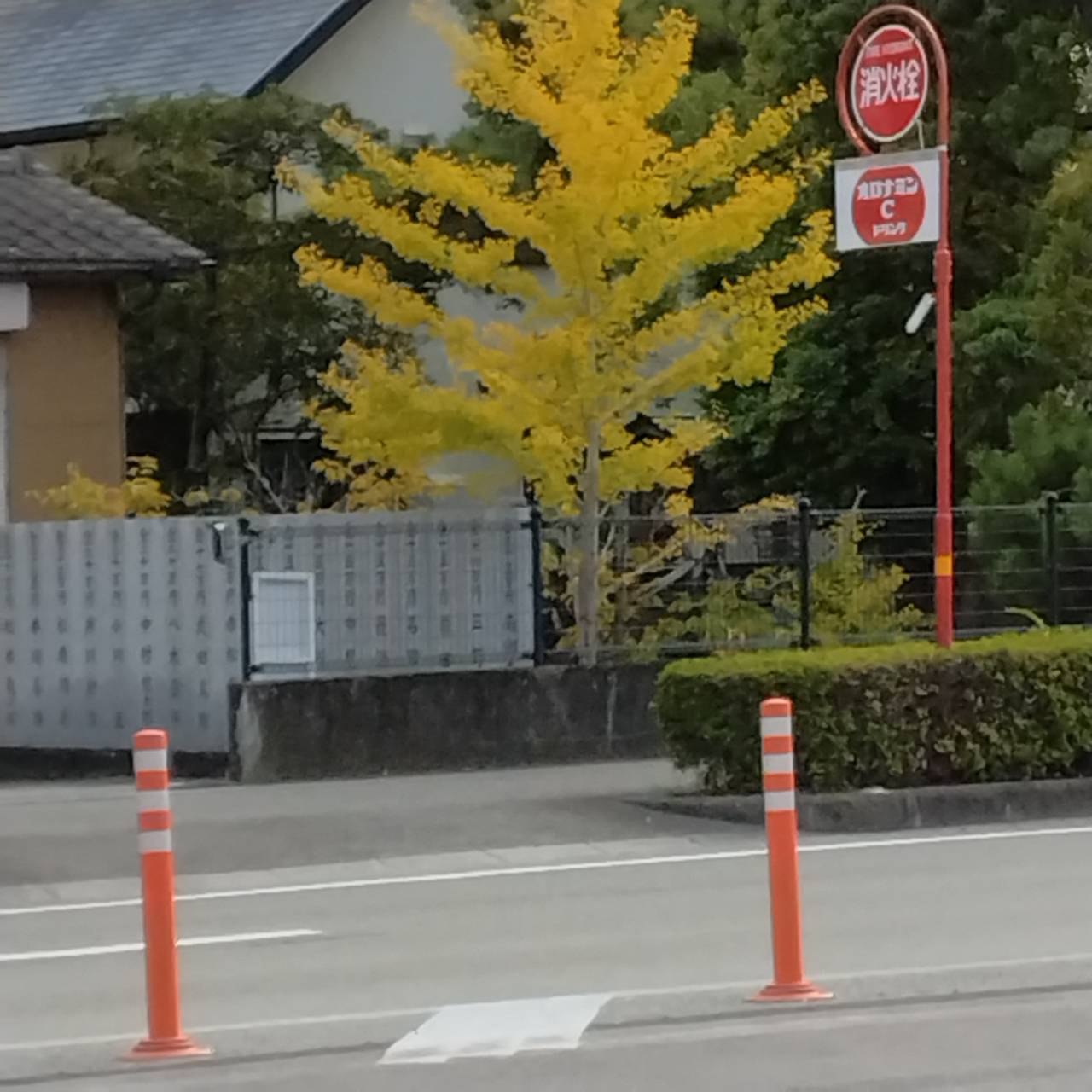 秋の気配