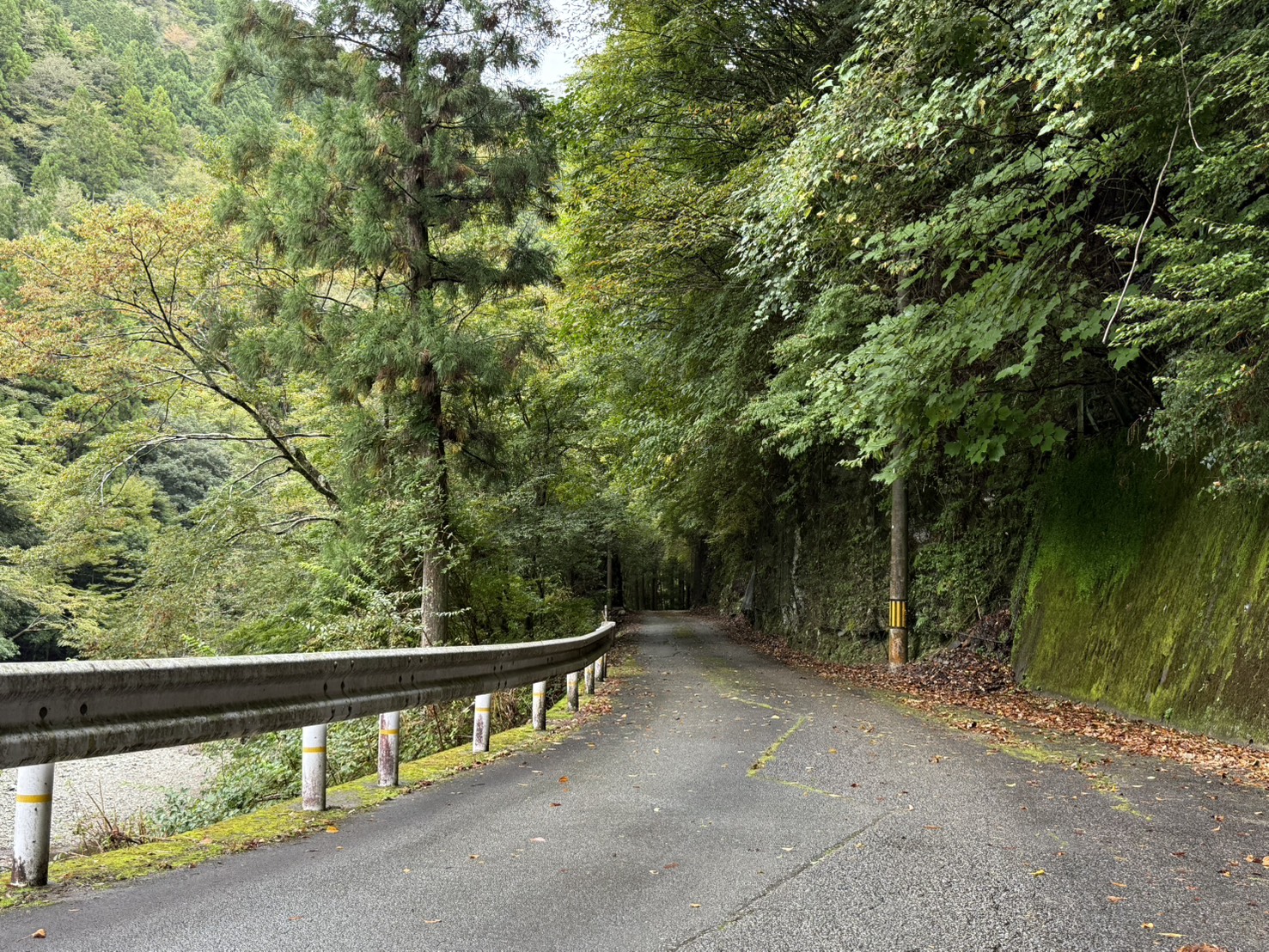 四国の道！酷道（国道）