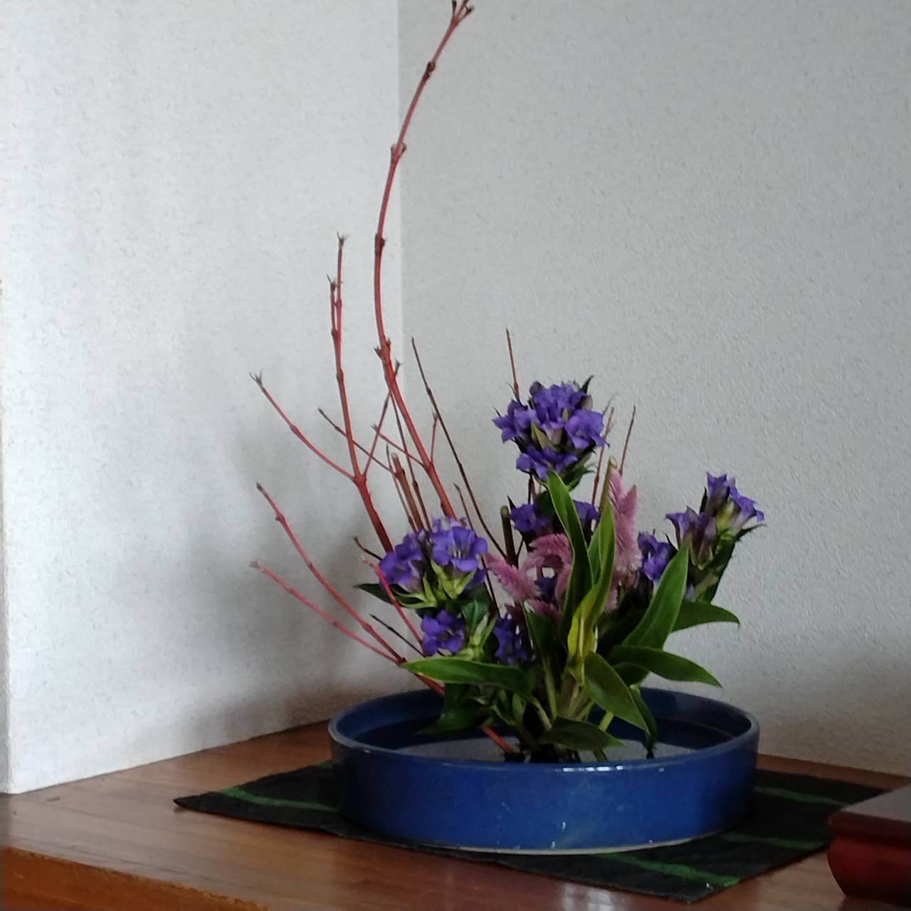 今月のお花（part2）
