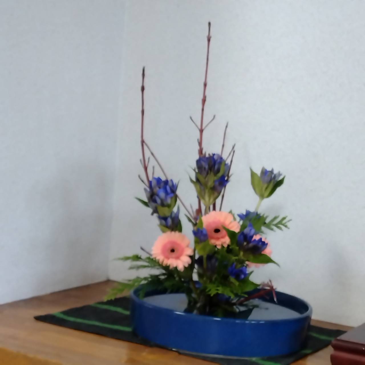 今月のお花（part1）