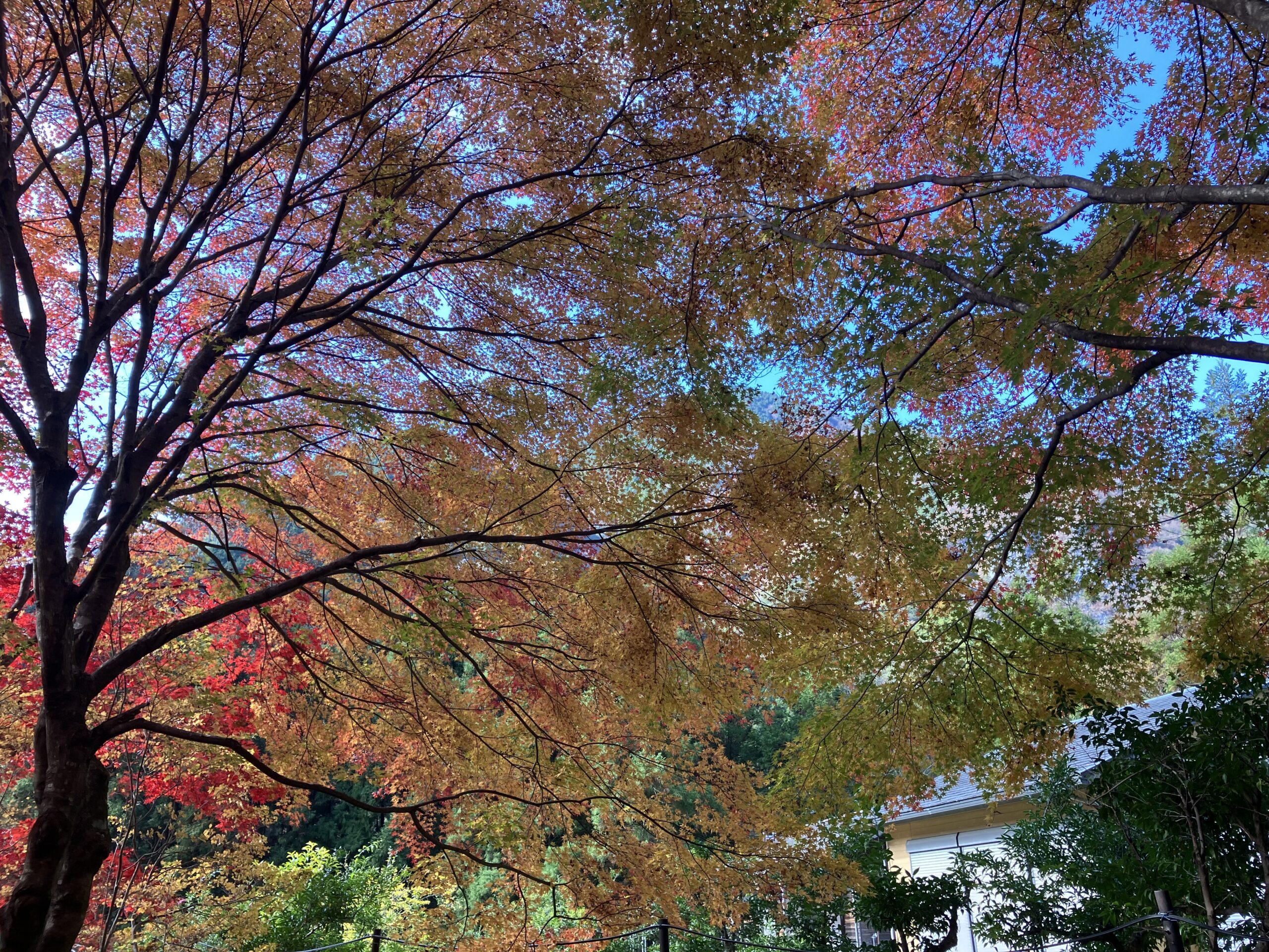 無常法に認識に思う