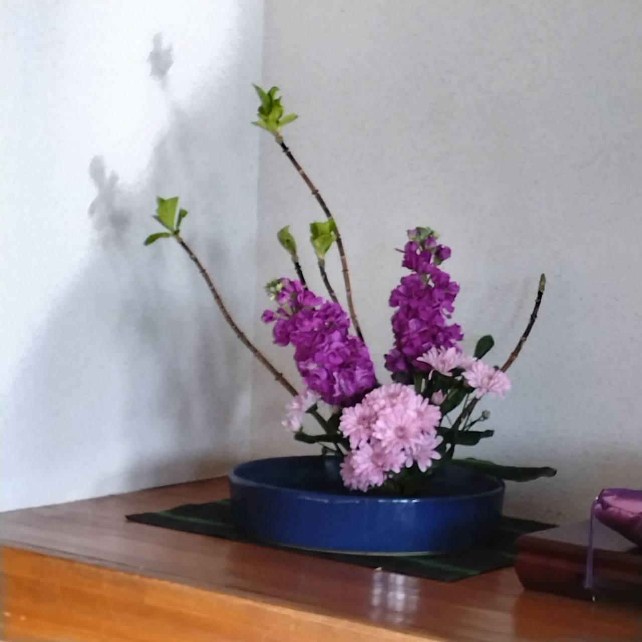 今月のお花（part１）