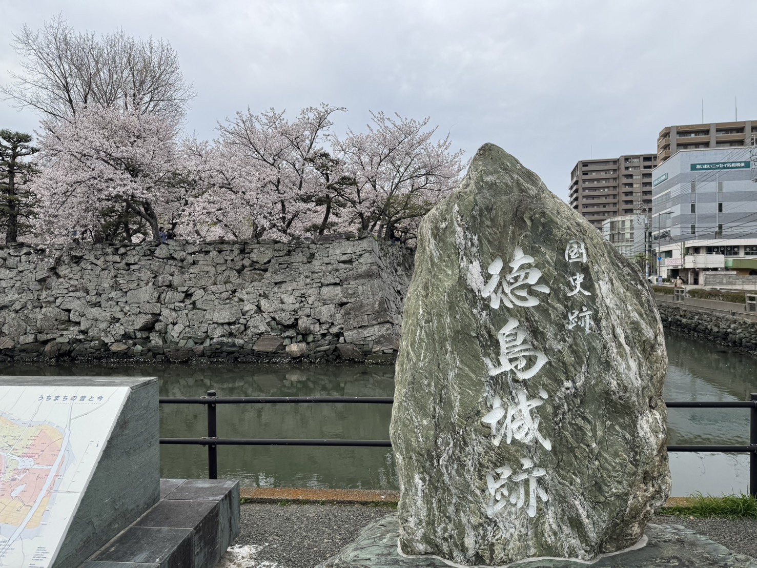 桜名所の徳島中央公園　
