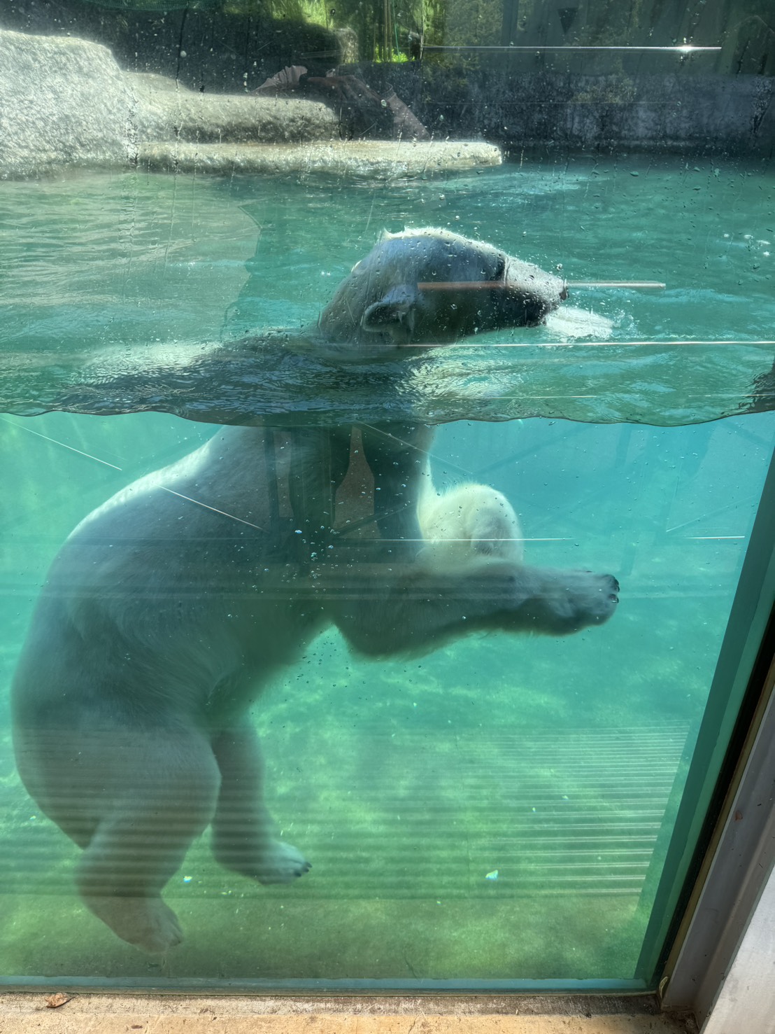 とくしま動物園