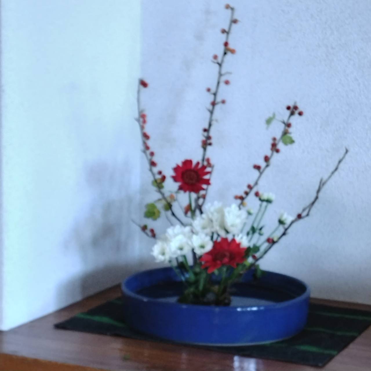 今月のお花（part3）